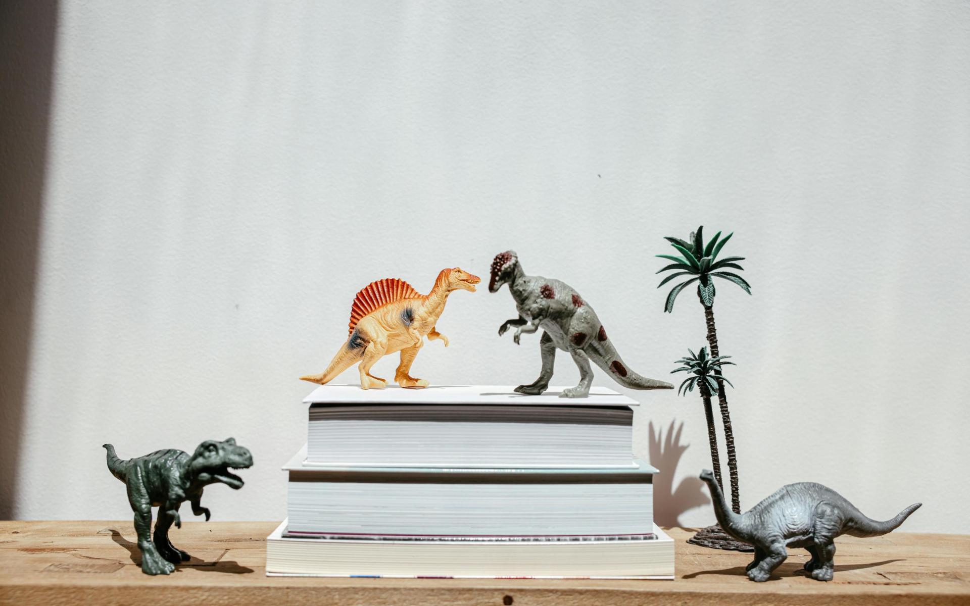 Dino und Bücher
